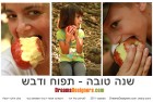 דרימס דזיינרס מאחלת שנה טובה